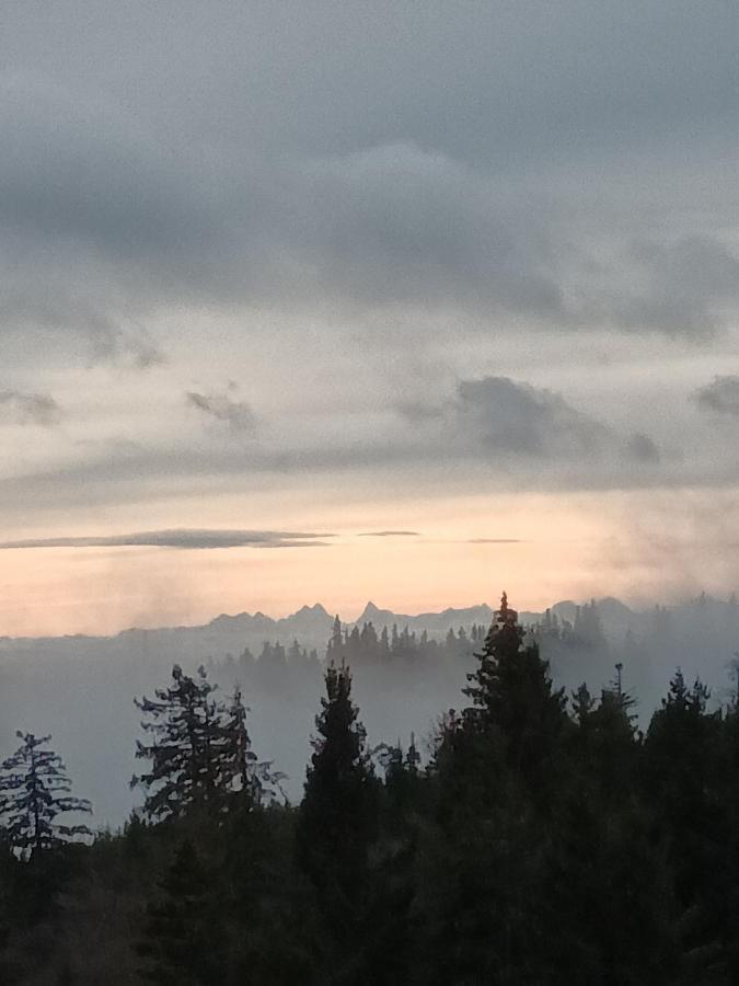 Terre De Sapins - Gites Nature Haut De Gamme Avec Sauna Au Coeur Du Lac Blanc Orbey Εξωτερικό φωτογραφία